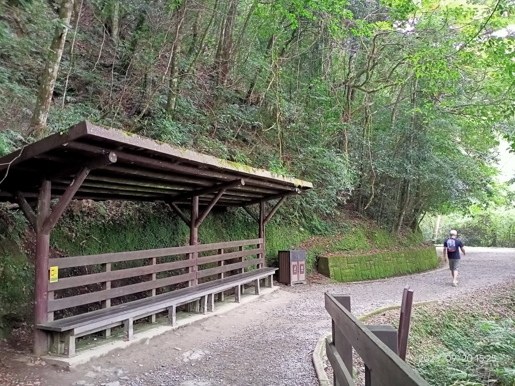 拉拉山國家森林遊樂區、神木群步道【桃園-臺灣百大必訪步道、走路趣尋寶】_2292854