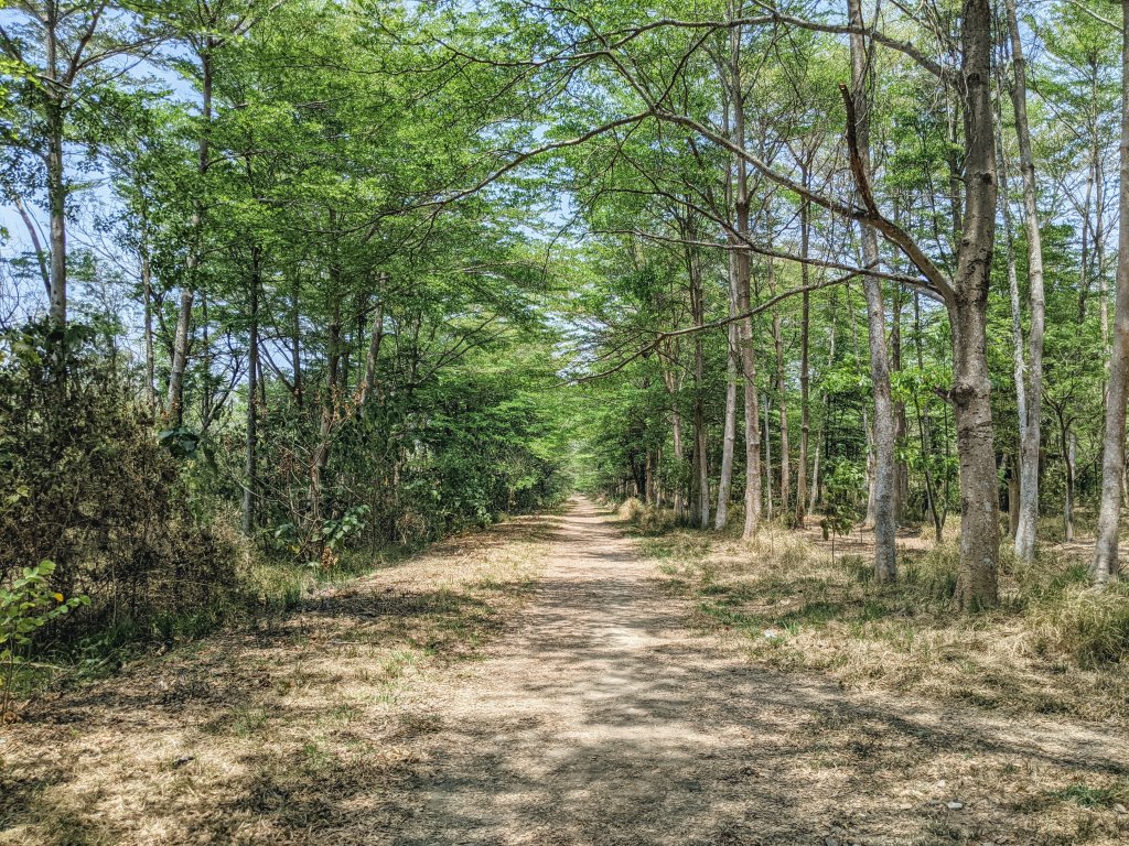 20210411台南仁德西瓜山森林步道(虎山森林步道)封面圖