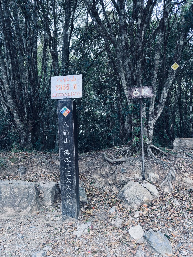 松鶴上八仙_2653187