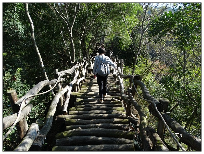 大坑3號步道/頭嵙山_1223228