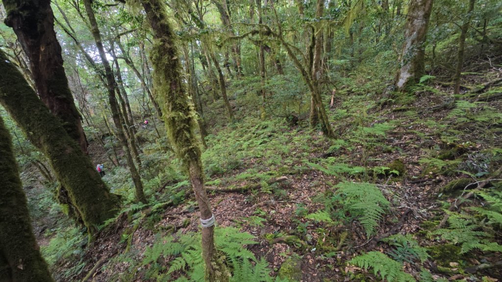 佐米縱走封面圖