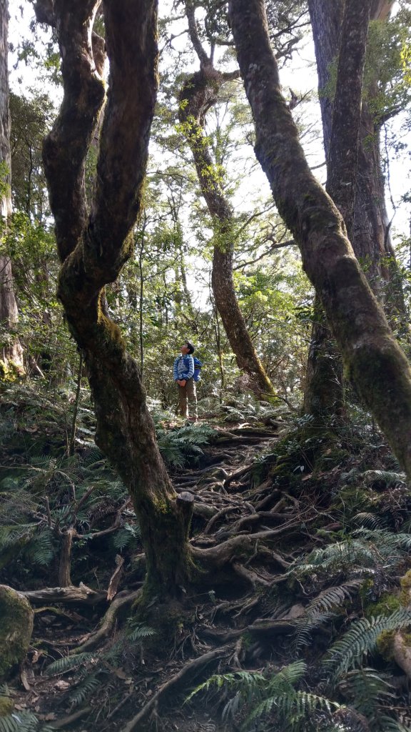 2020.03.08塔曼山_872674