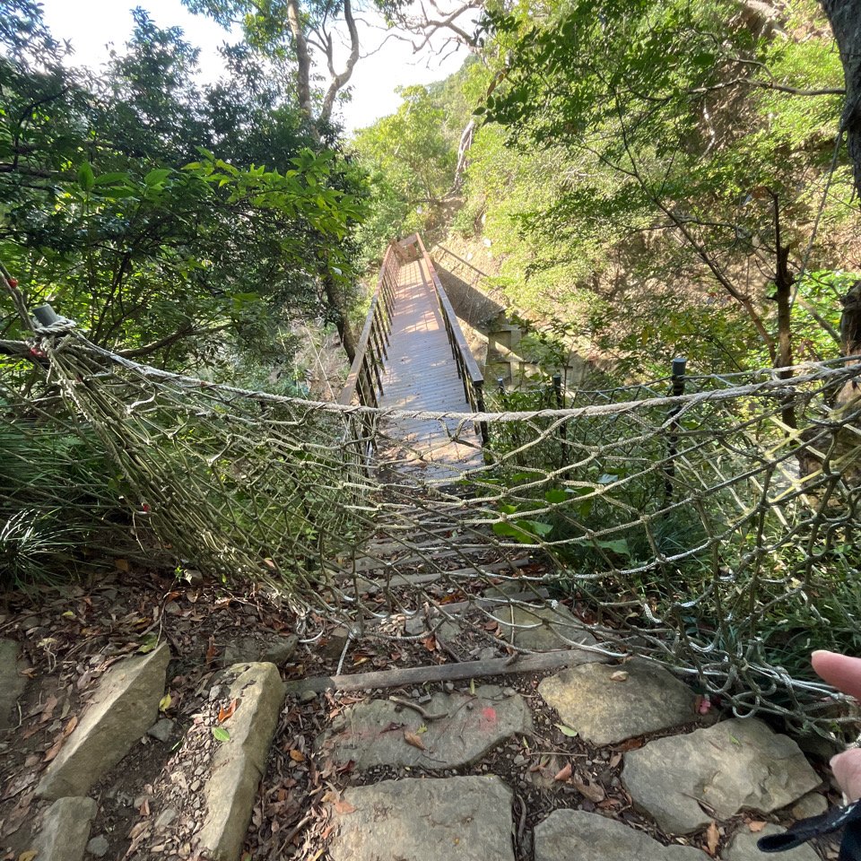 20251212_里龍山（屏東小百岳）_2968688