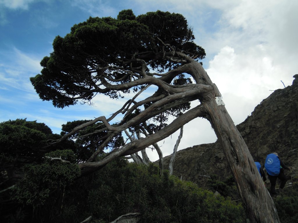 南湖群峰_南湖大山_南湖東峰__南湖北山_審馬陣山_多加屯山20140827_1960112