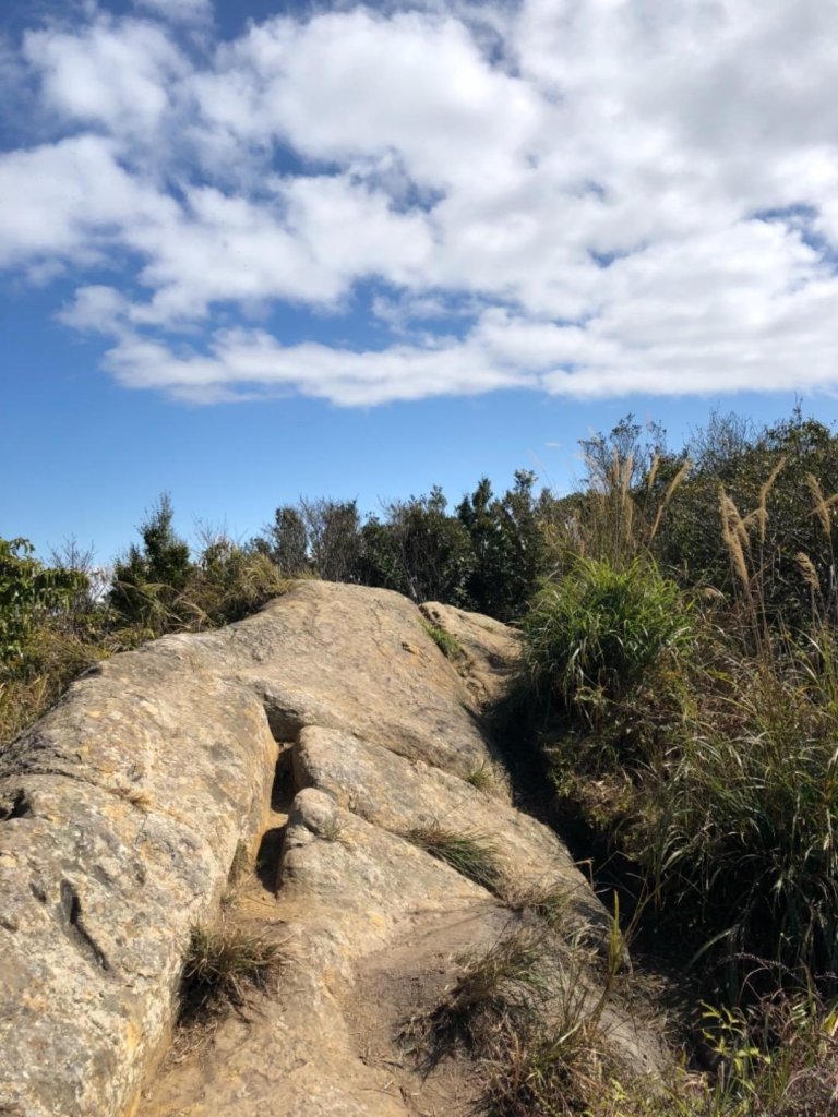 俯瞰石門水庫絕佳視角的外鳥嘴山_513783