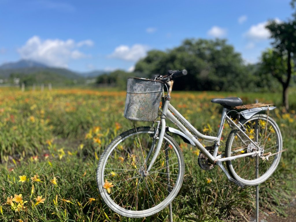 頭社活盆地封面圖