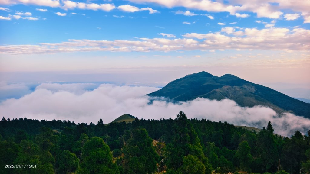 陽明山趴趴走追雲趣 1/17_2983240