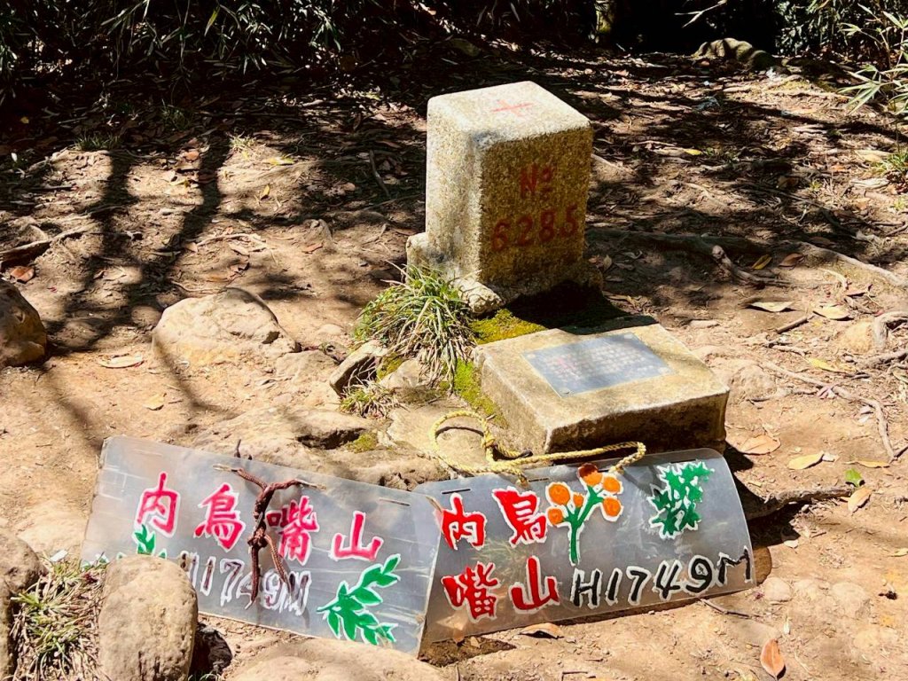 🌈3/15（日）北得拉曼神木+內鳥嘴山✨FB：熊熊趴爬走🌈_3016822