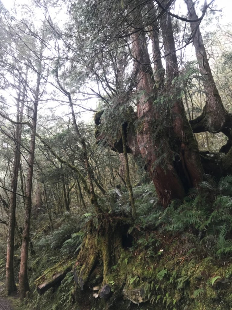 見晴古道。0.9K的抒情浪漫_1494487