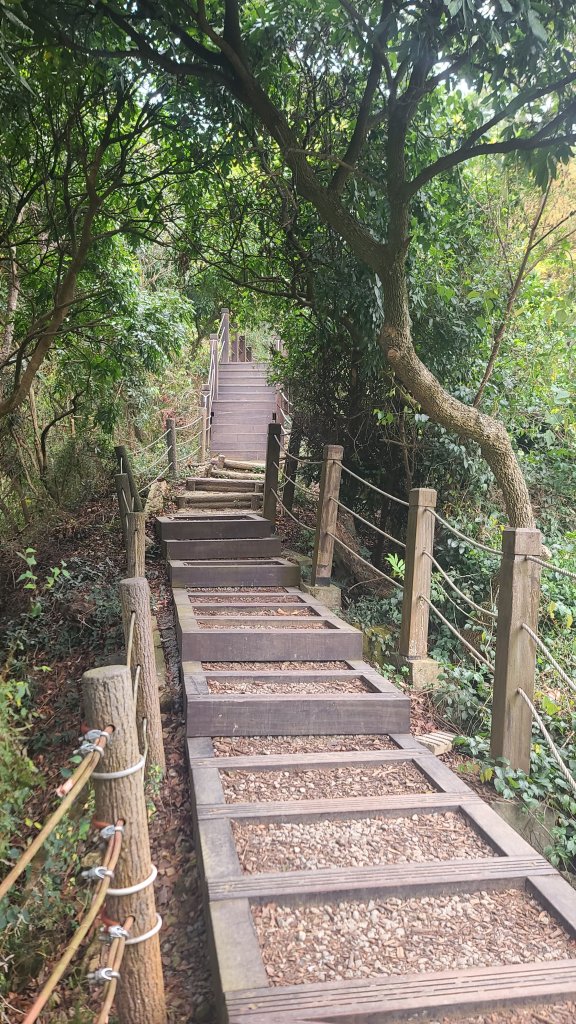 2025-0208聚興山小百岳_2710847