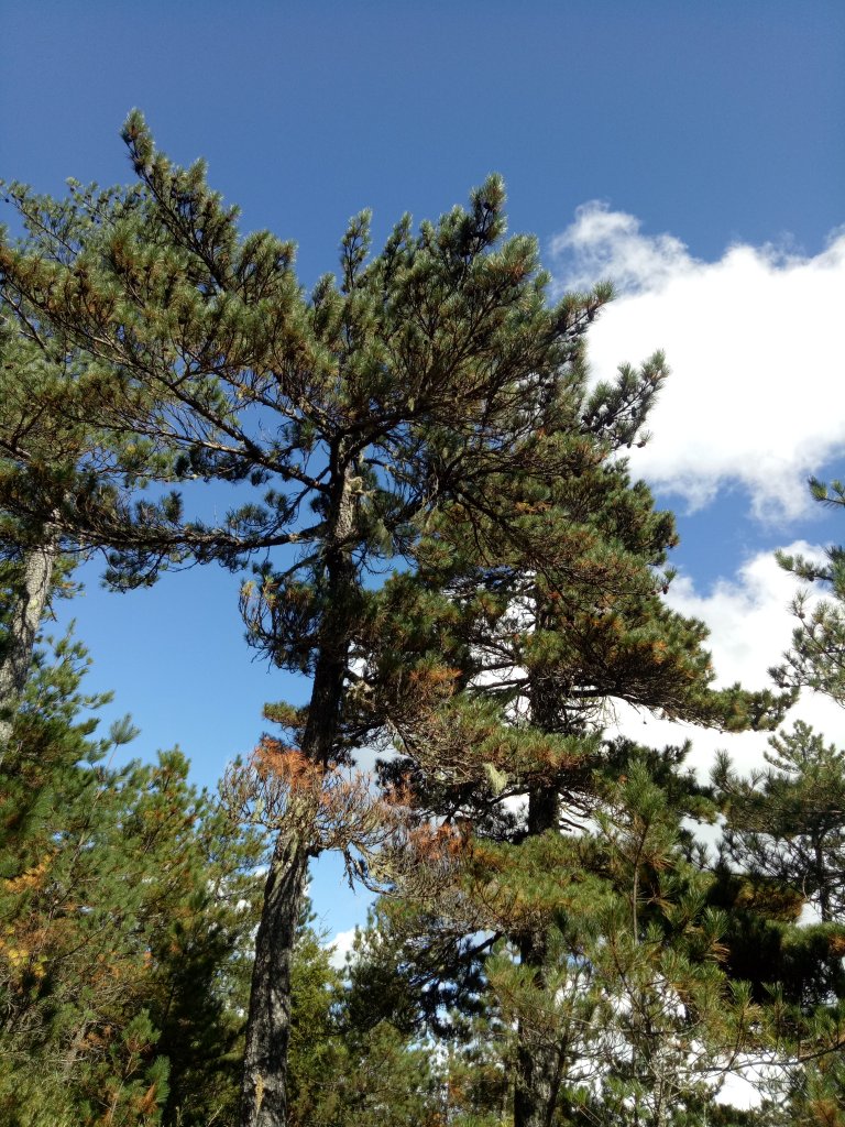 將軍廟上天鑾池+武法奈尾山_1881016