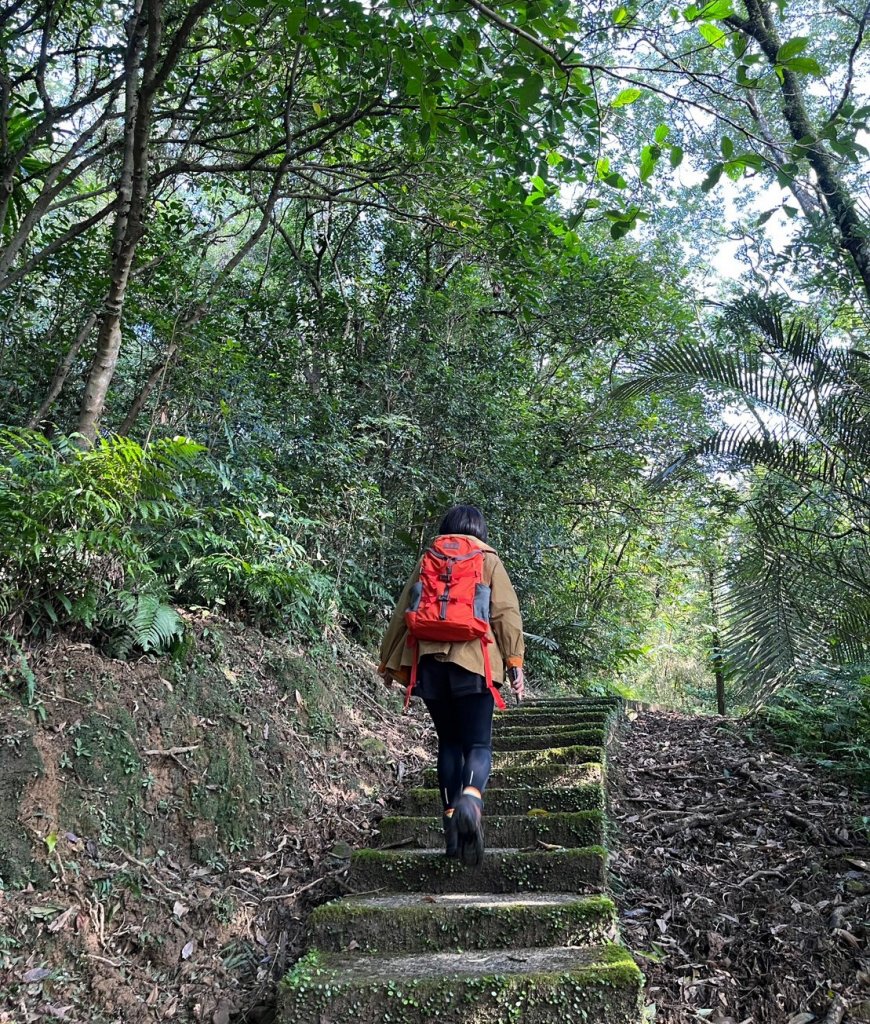 愛在秋芒紛飛時...五分山_2353590