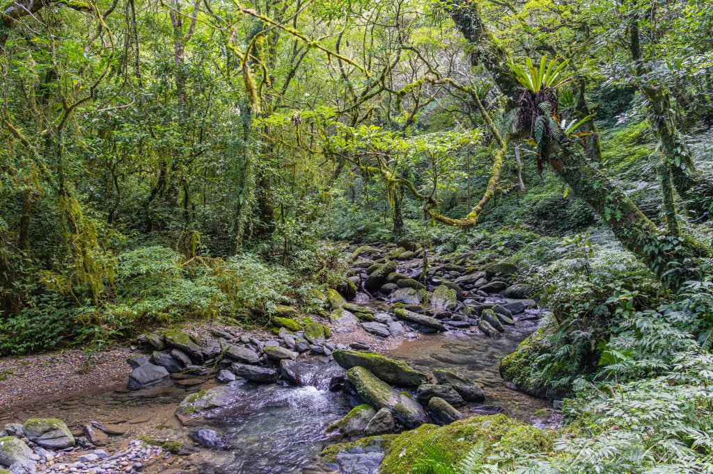 桶後越嶺_2950097