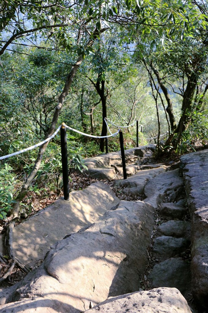 金面山。九蓮寺_523748