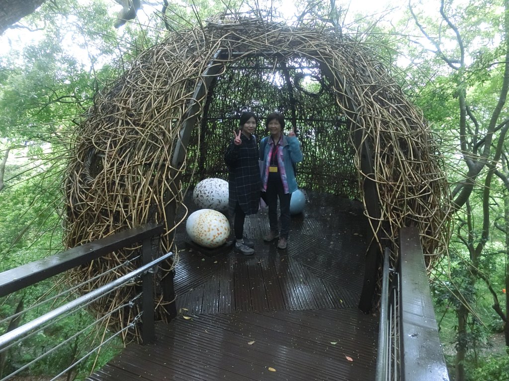 虎頭山公園_566838