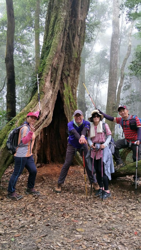 金柑樹山&忘憂森林步道20171023_193227
