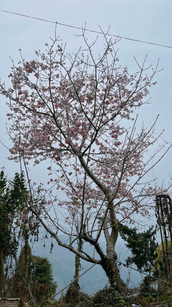 2023尋訪消失的眠月線聚焦失落沉寂的百年鐵道之旅_2110559