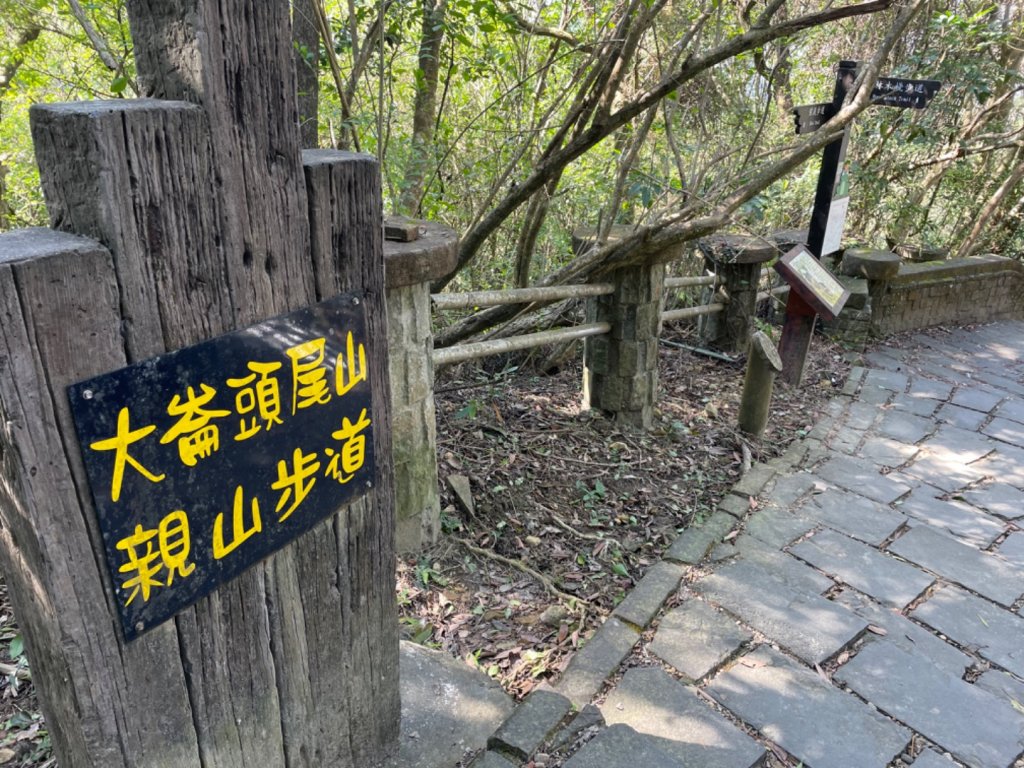 大崙頭山步道_2014614