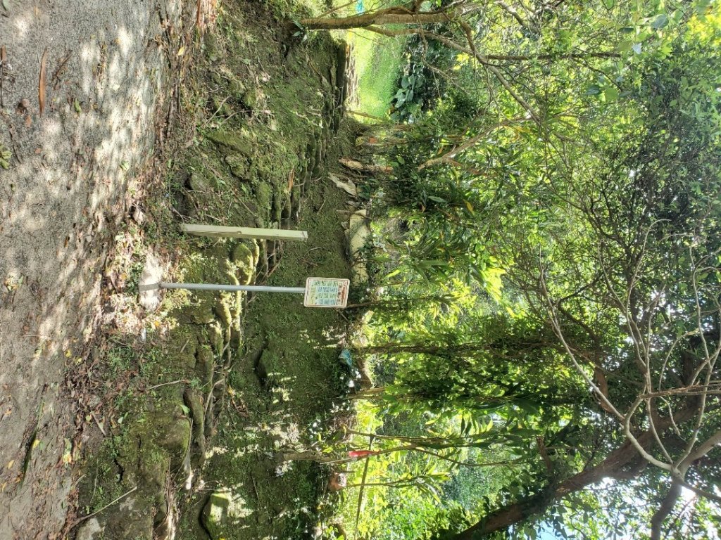 三貂嶺火車站 ＞＞三貂瀑布群 中坑古道 柴寮古道 ＞＞ 出猴硐_2559803
