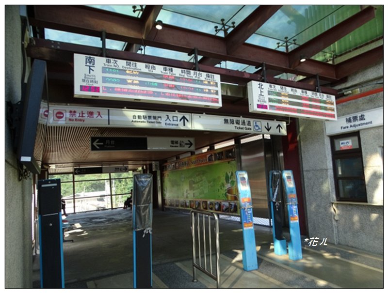 大棟山/芒花(小百岳)_752415