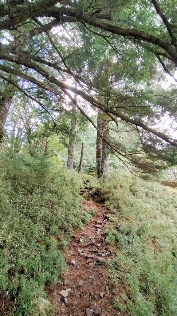 石水山 真鹿林山 鹿林天文台_1492534