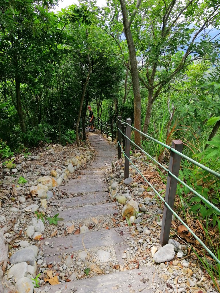 南投草屯~峰峰相連~九九峰森林步道_1108576