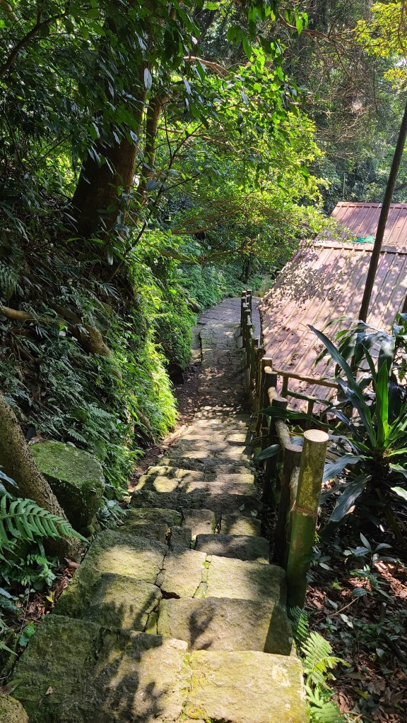 2022_0228巴拉卡到天母_1622199