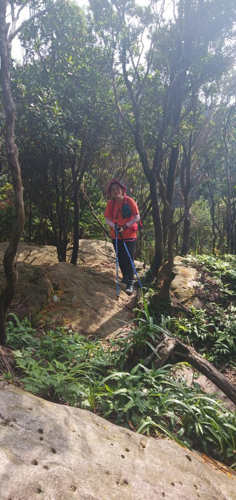 108.07.21汐止柯子林山如意湖_634087