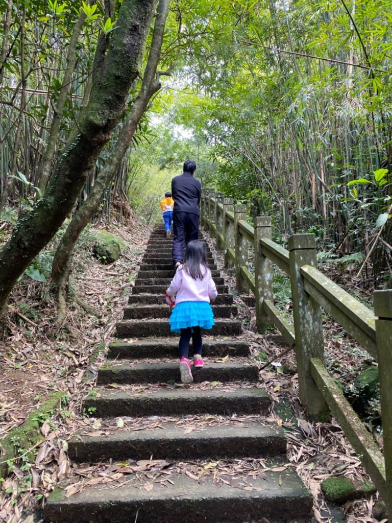 20200301桃源谷步道內寮線_868939