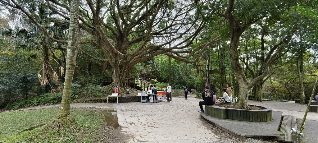 2026/01/25-五酒桶山、山鼻山步道_2988117