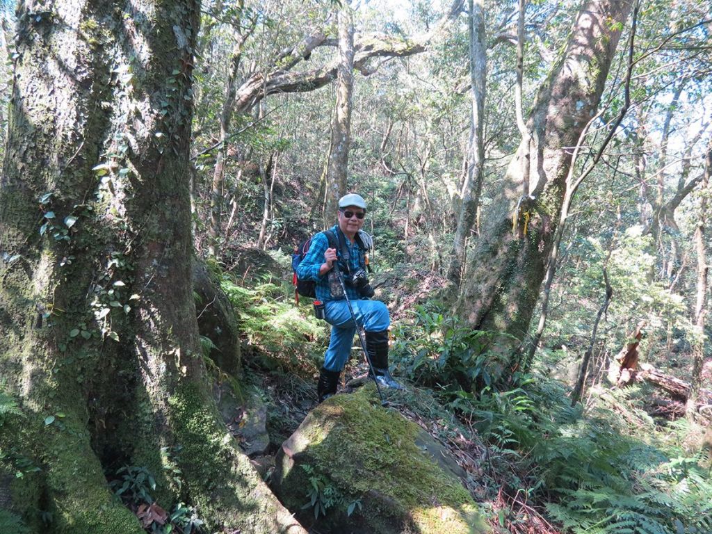 拔刀爾山...美鹿山南峰原路來回_185356