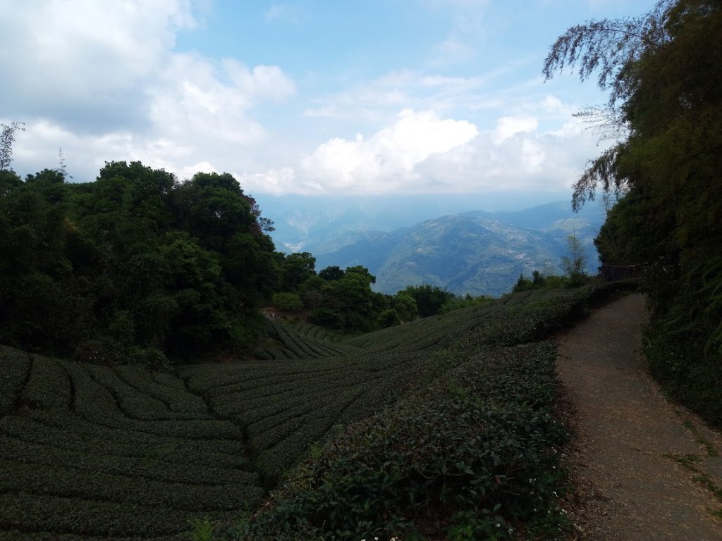 雲嘉五連峰+後棟仔山挑筍古道 望風斷崖_958061