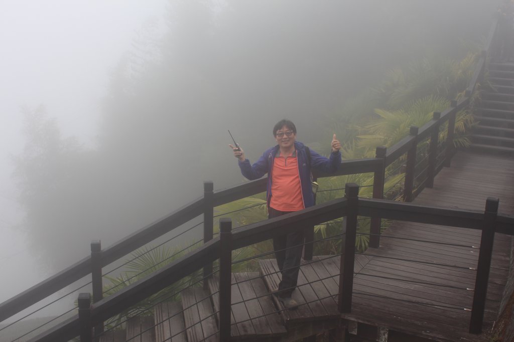 20230408嘉義縣頂石棹步道_2109420