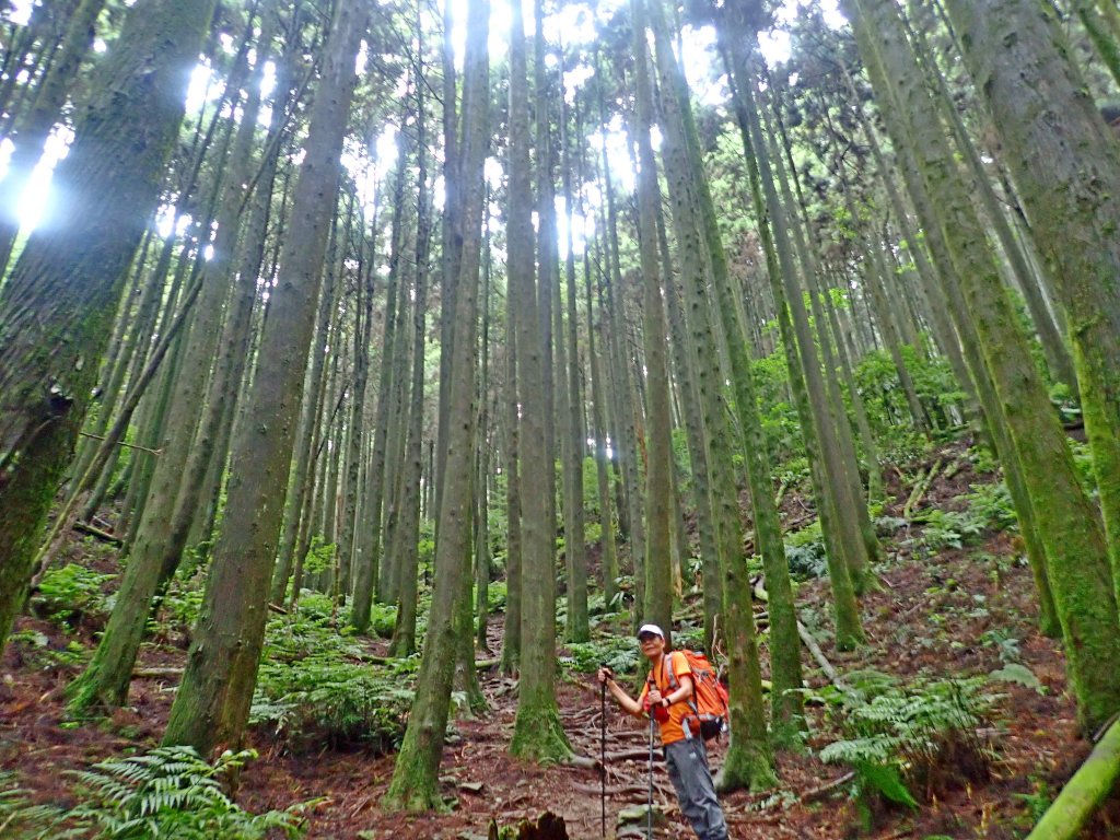 大雪山大崠山避暑趣2019/7/21_634440