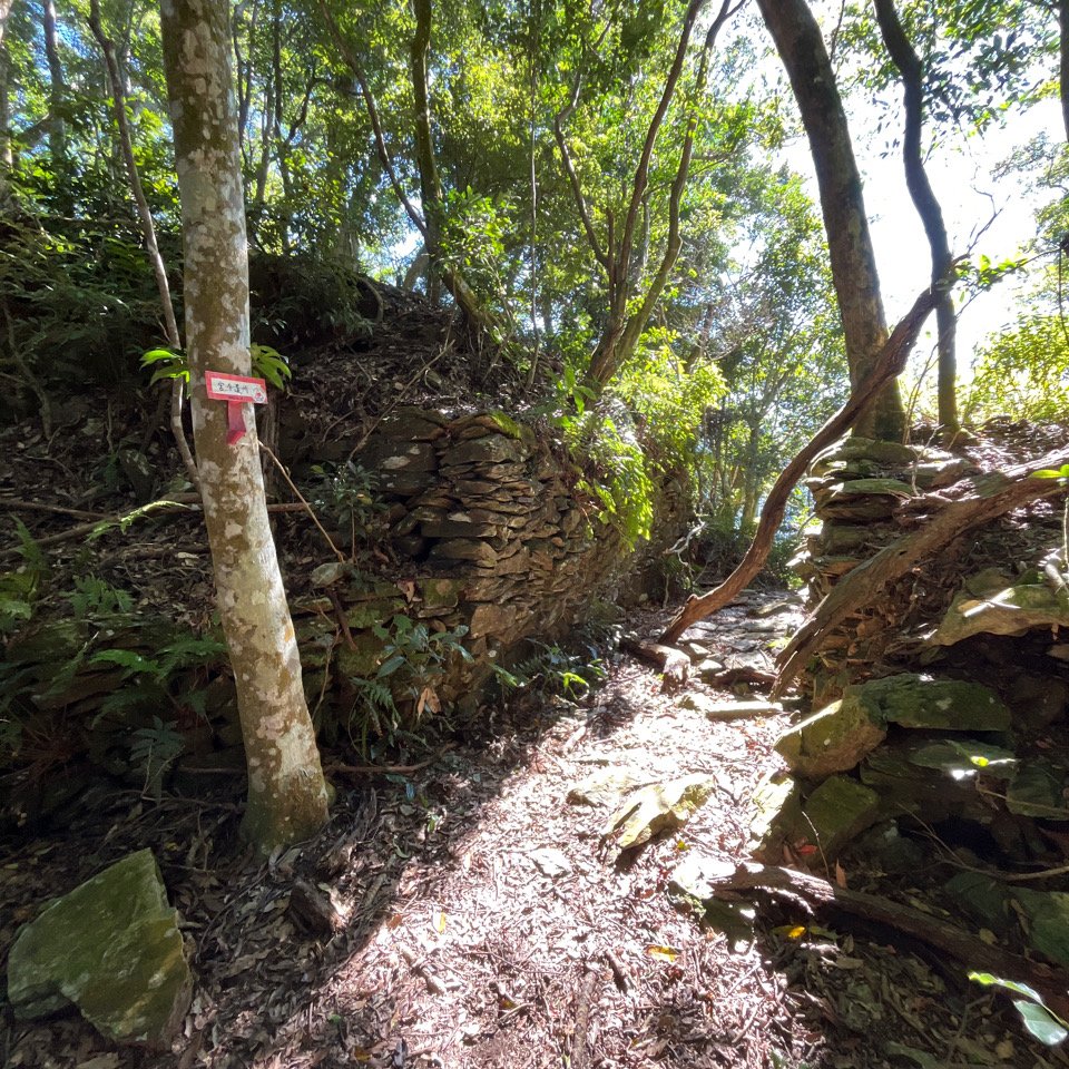 20251116_鳴海山（高雄小百岳）_2941561