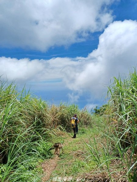 【花蓮豐濱】號稱小百岳中的大魔王。 小百岳集起來。 編號91小百岳-八里灣山登山步道_1742449
