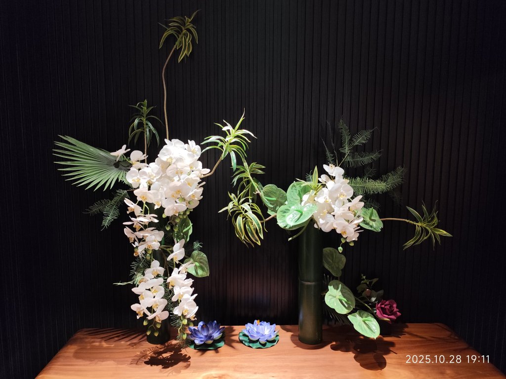 四川青城山→樂山市_2938251