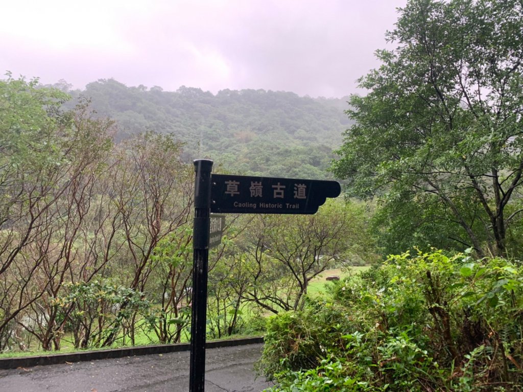 20221105-草嶺古道+桃源谷步道_1902695