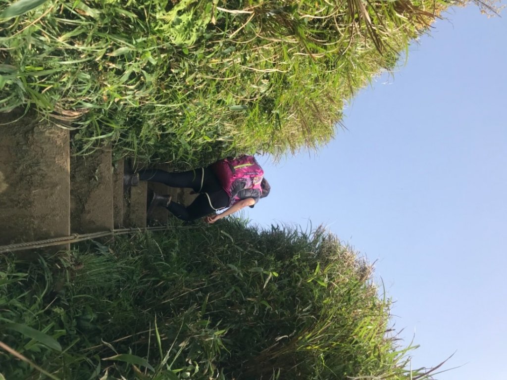 抹茶山、三角崙山、聖母山莊_2115245