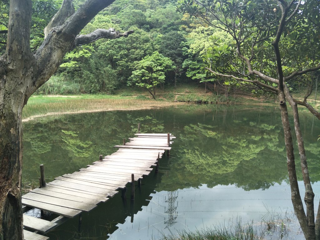 新山夢湖封面圖