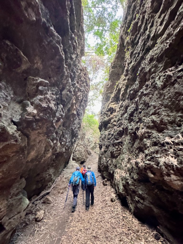 大崗山(小百岳#74)龍盤峽谷一線天_2764653