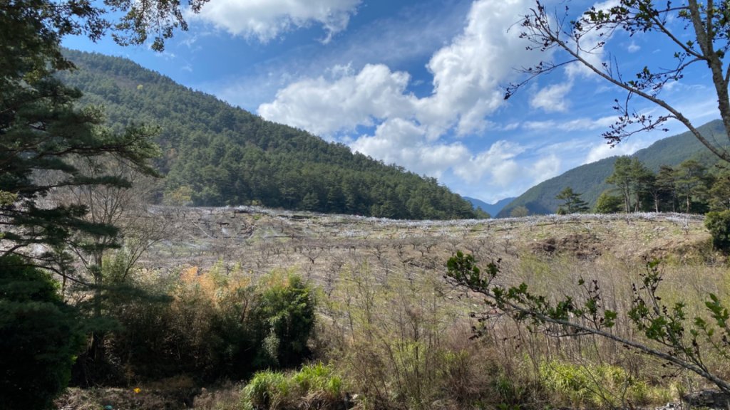 志佳陽單攻｜日出光影 · 山頂展望_868847