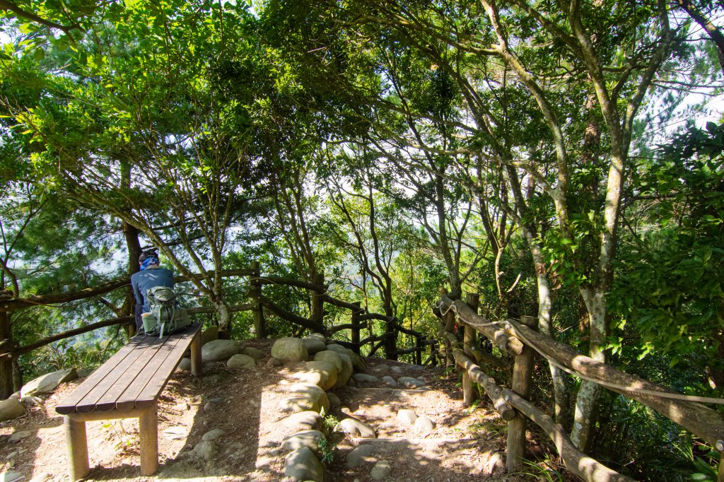 大坑4號步道/頭嵙山_1886891