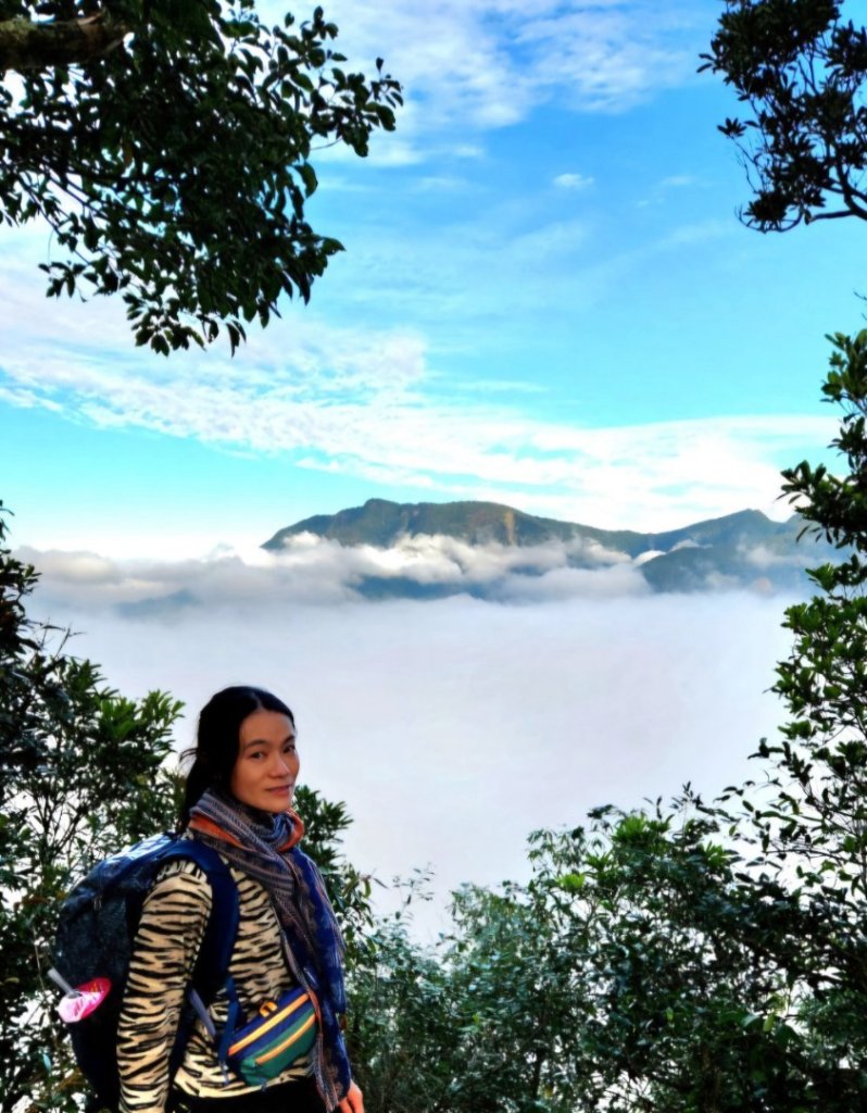 【中級山縱走 】向天湖山，三角湖山，光天高山_2742242