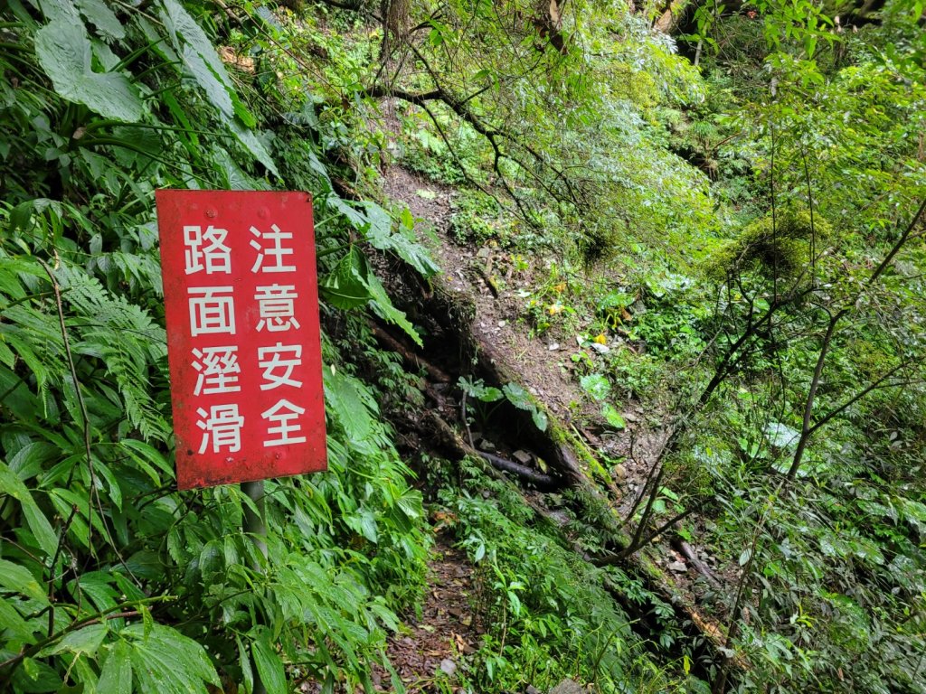 福巴越嶺古道 達觀山 檜山_2016694