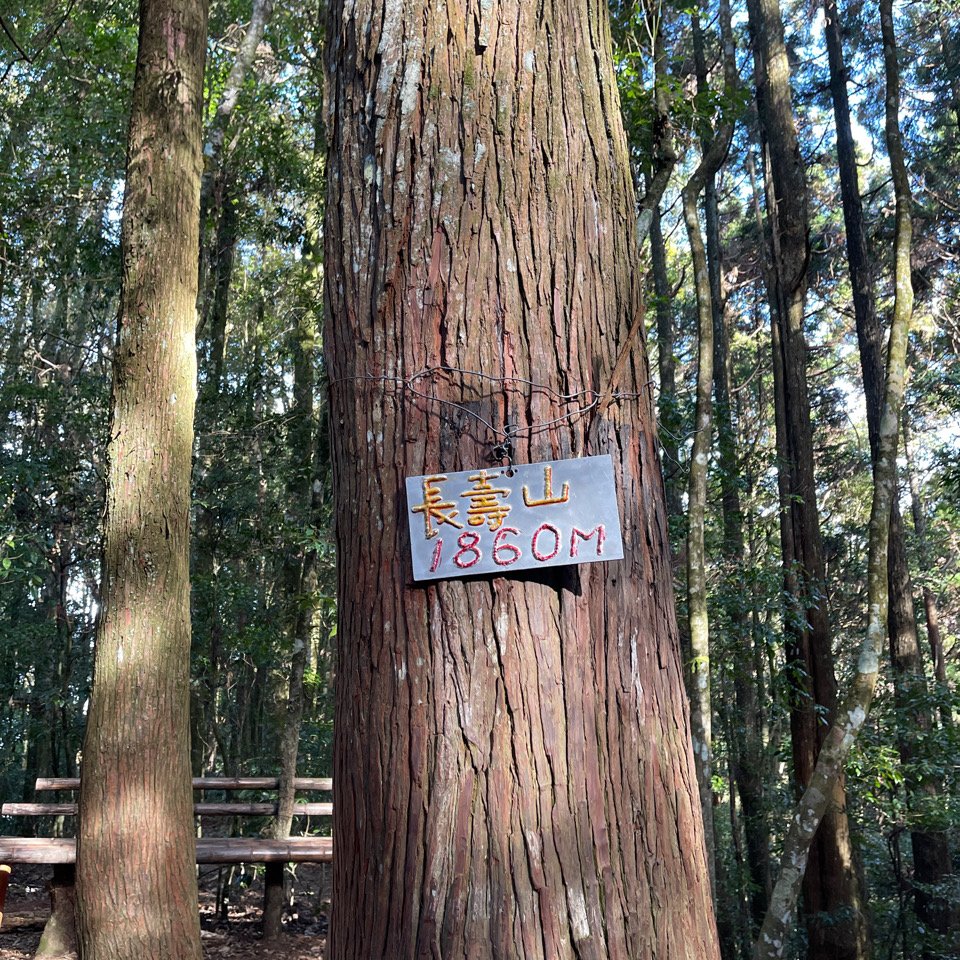 1120219長壽山（肥崠山）_2038911