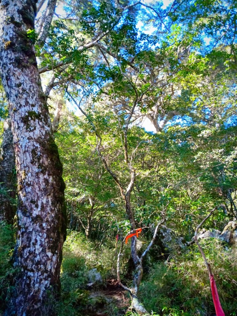 20220227_庫哈諾辛山_1620974