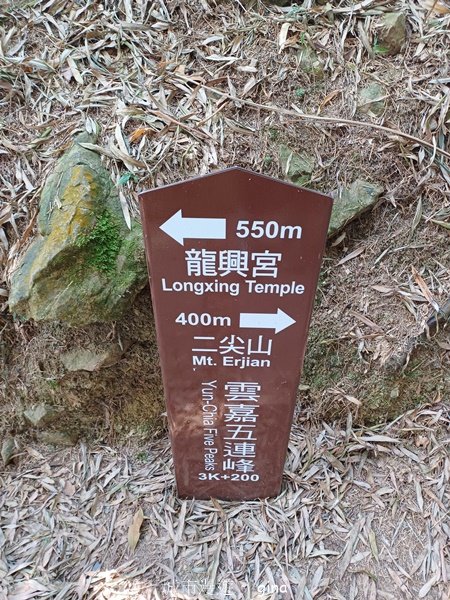 【雲林古坑】 翠綠茶園太迷人走到廢腿也甘心_雲嘉五連峰縱走_2437461