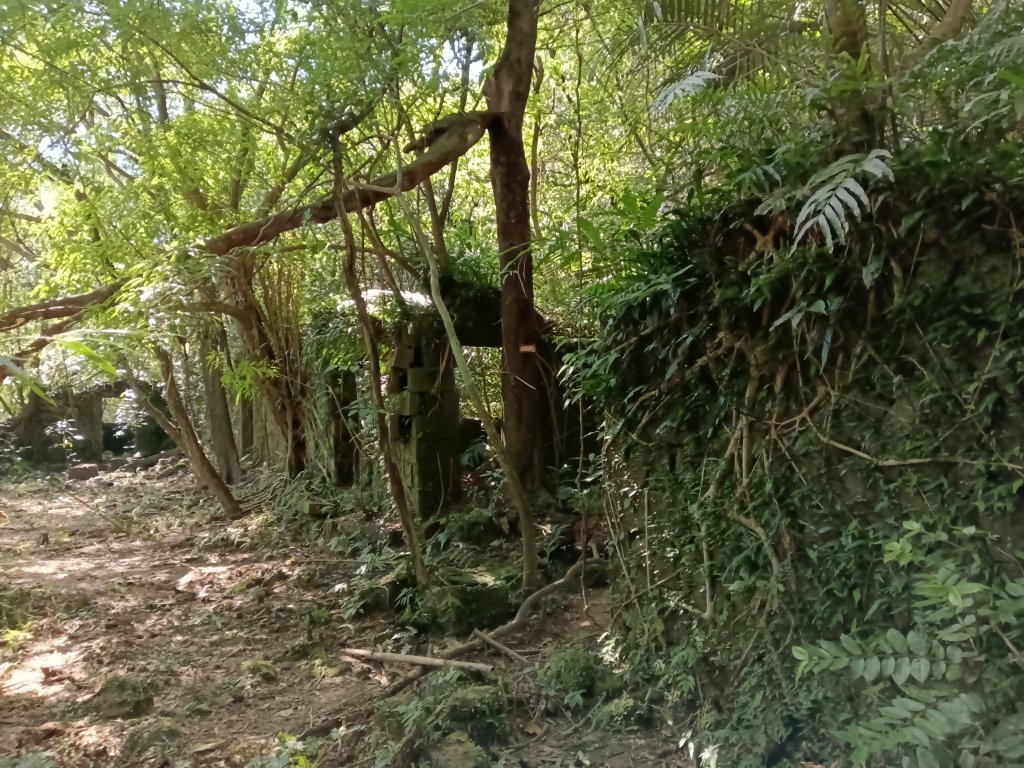 雙溪區大平林山+后番子坑古厝+后番子坑山+武山煤礦事務所+焦炭窯O型_2988576
