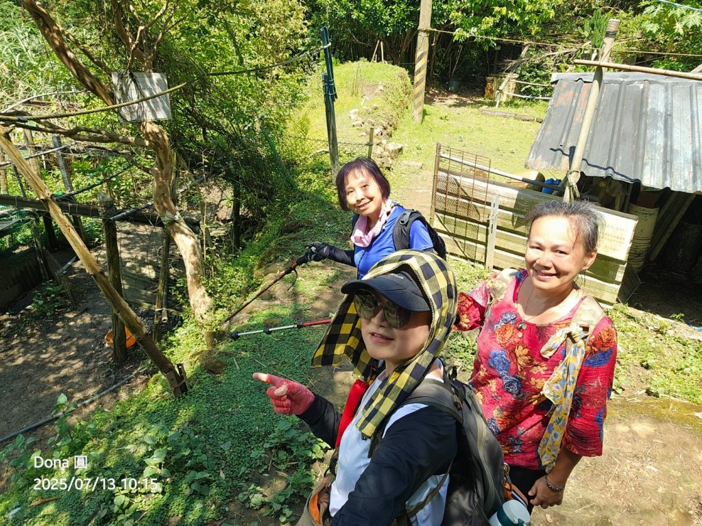 【菁桐】巡山東勢格古道全段加碼臭頭山_2848019